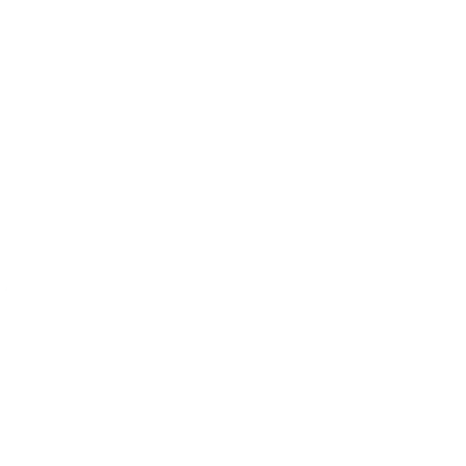 Icon depicting the ability to tailor products, services, or experiences to the unique preferences and needs of individual users.